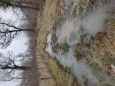Forêt Commercy / Saulvaux